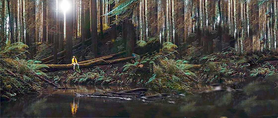 Ecology and the Restoration of the Gospel